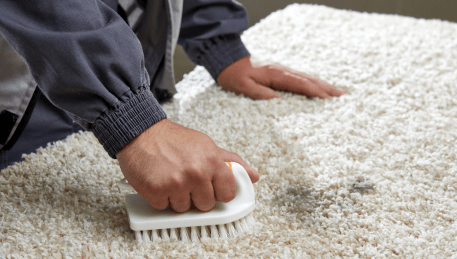 Professional Rug Cleaning Newcomb