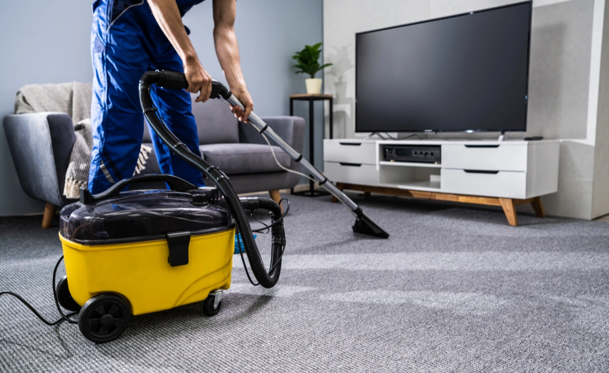 Extract Rug Cleaning Newcomb Contact Office